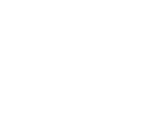 EXPANSE Icon Mark
